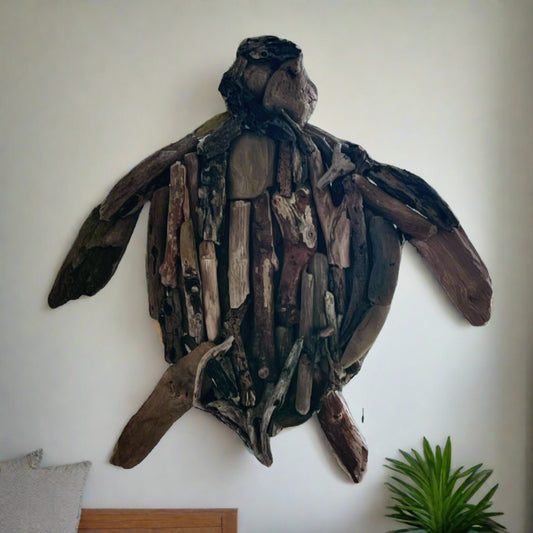 Driftwood Turtle