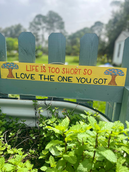 "Life is Too Short So Love the One You Got" Wood Sign