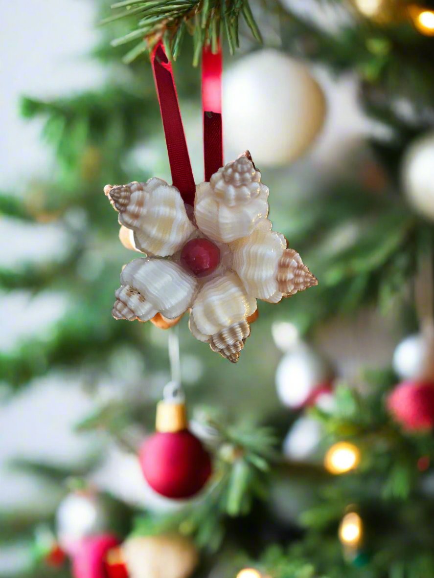 Shell Christmas Cookie Ornament