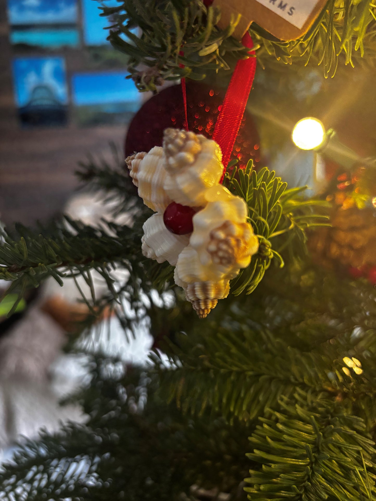 Shell Christmas Cookie Ornament