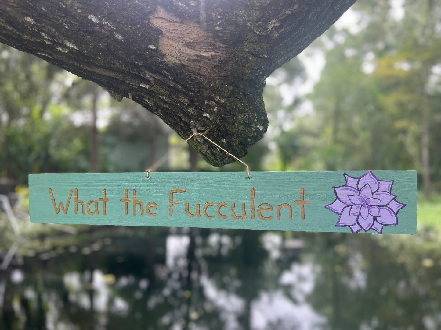 What the Fucculent Wood Sign