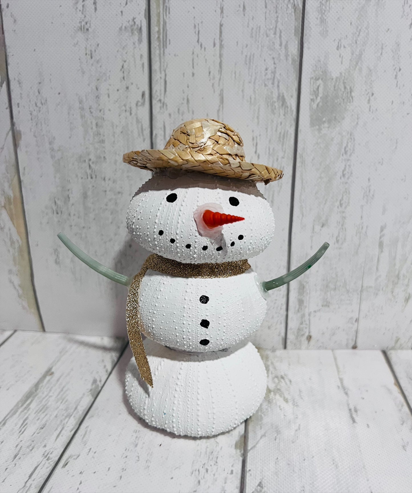 Tabletop Sea Urchin Snowman