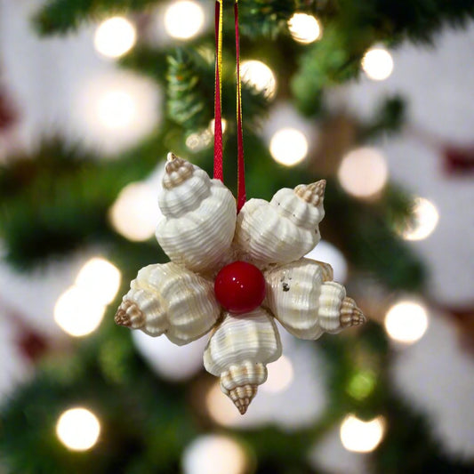 Shell Christmas Cookie Ornament