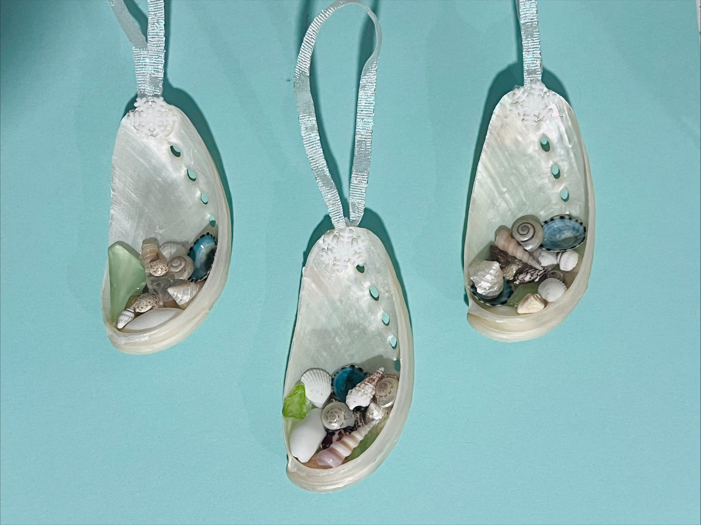 Mermaid’s Purse Ornament